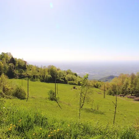 Damarco Turistico Schio
