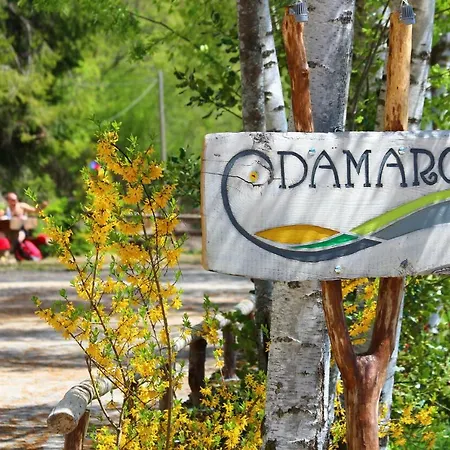 Damarco Turistico Lodge